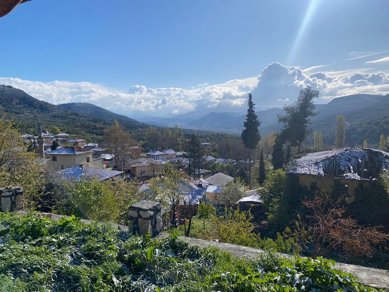 Sarmaşıkta Bahar Ayında Kar Bereketi